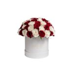 75 White and Red roses