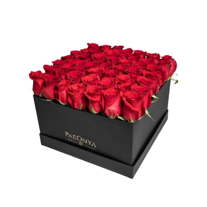 Forever Large Box Forever Large Box