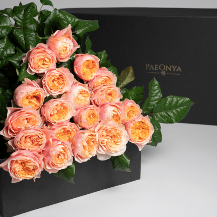 Sweet Juliet Roses