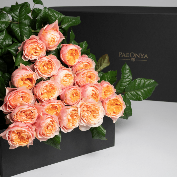 Sweet Juliet Roses London Sweet Juliet Roses Delivery London