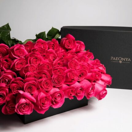 Bright Pink Roses