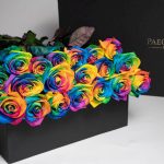 Rainbow Roses London