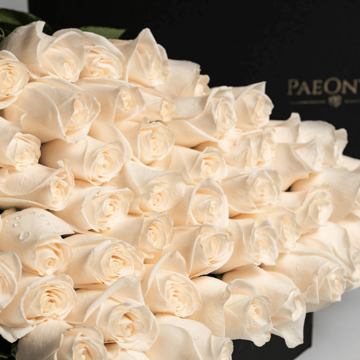 White Roses - Image 2