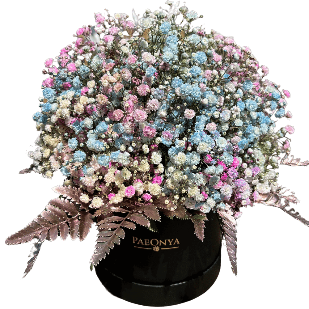 Gypsophila box gypsophila delivery london gypsophila london