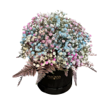 Gypsophila box