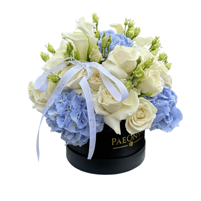 Untitled design (75) Beauty in  blue - Image 1