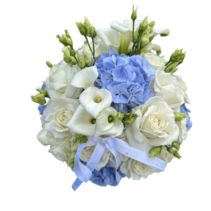 Untitled design (76) Beauty in  blue - Image 2