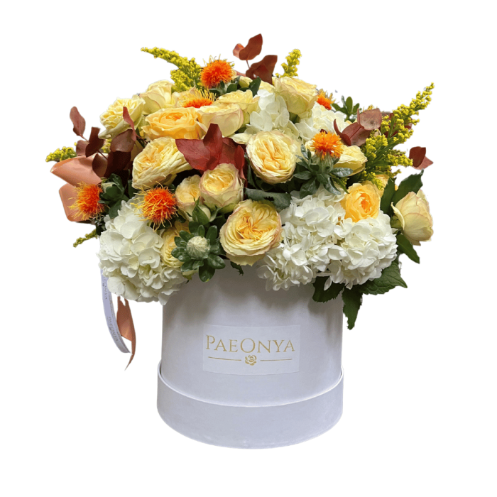 Orchids Love Golden chic - Image 1