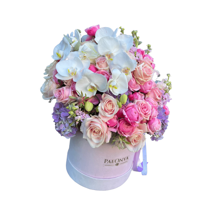 Orchids lover - Image 3