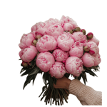 Pink Peony Bouquet