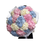 A Symphony of Softness