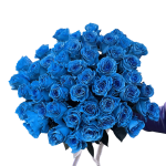 Blue Roses