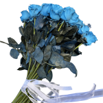 Blue Roses - Image 3