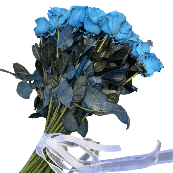 Blue Roses - Image 3