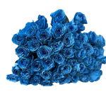 Blue Roses - Image 4