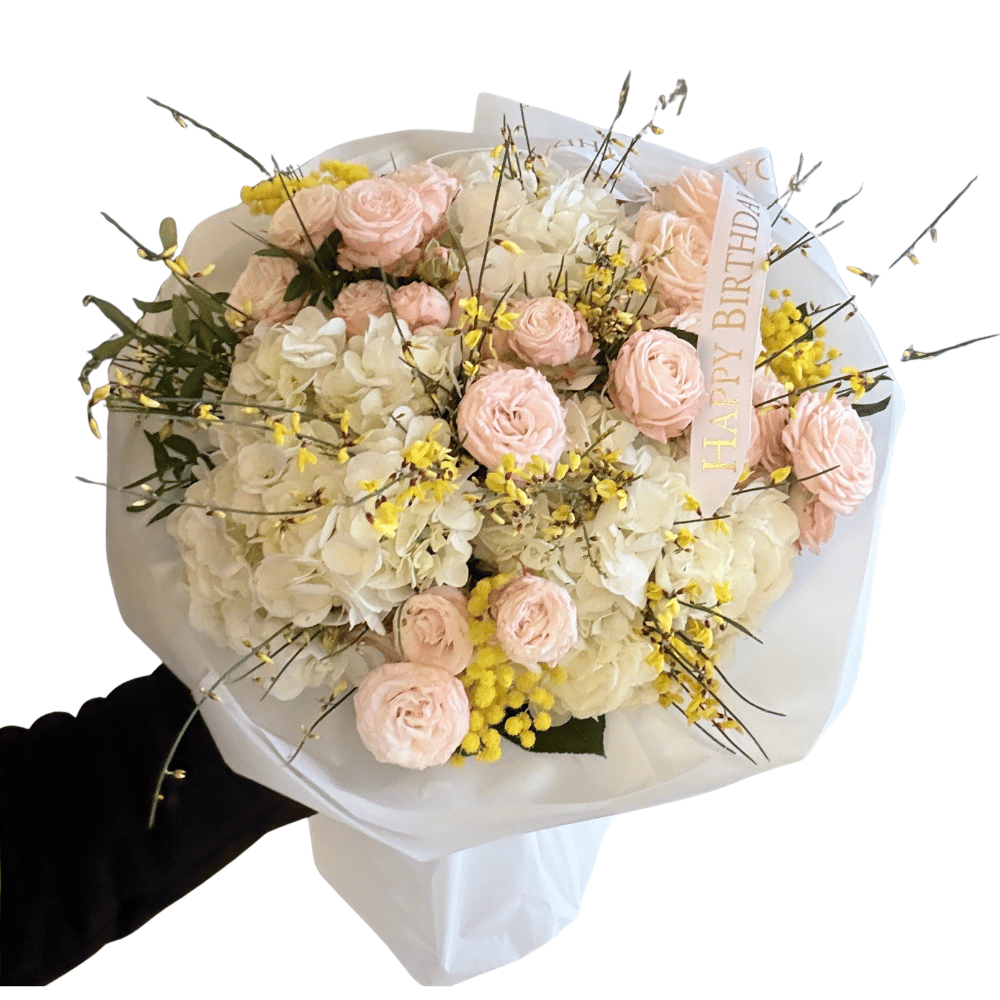 Untitled design - 2026-01-09T141559.135 Peach Whisper - Image 1