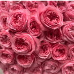 Bouquet - Candy Expression - Peony Garden Roses - Image 3