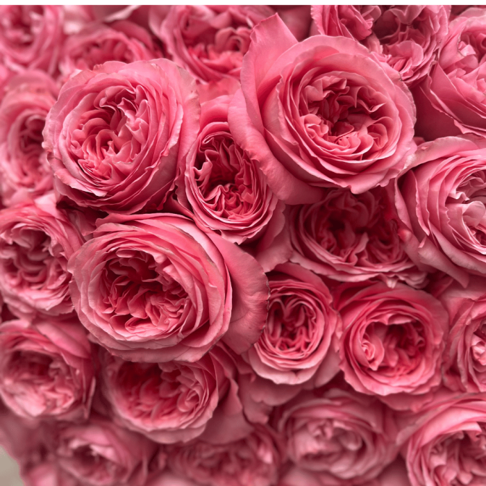 Bouquet - Candy Expression - Peony Garden Roses - Image 3