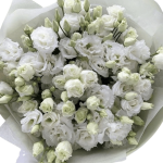 Eustoma Bouquet - Image 2